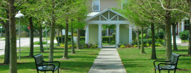 Long Leaf Community 740x285 longleaf